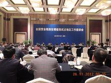 文麗[新華社瞭望智庫戰略研究室主任]