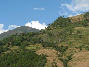 上布麻村 上布麻村