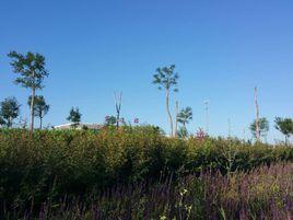 定邊火車站公園 定邊火車站公園