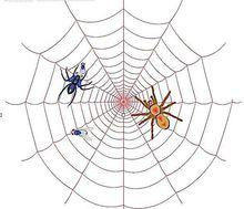 函式f(n)通過奇偶疊代織成蜘蛛網，射線為3n+1,螺旋線為(3n+1)/2