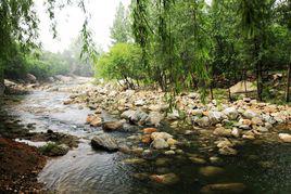 大窪風景區 大窪風景區