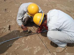 陽極電流密度 陽極電流密度