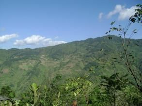 回香嶺自然村 回香嶺自然村