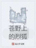 蒼野上的烈狐 蒼野上的烈狐