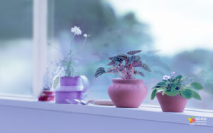 《中國花鼓》 《中國花鼓》