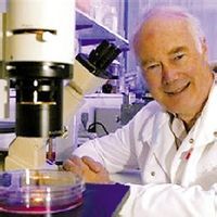 包皮尖銳濕疣 包皮尖銳濕疣