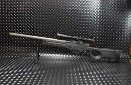 英國PM(L96A1)高精度狙擊步槍 英國PM(L96A1)高精度狙擊步槍