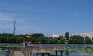 新疆生產建設兵團