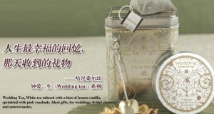 哈尼·桑爾絲 哈尼·桑爾絲