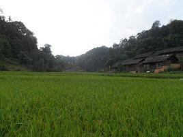 長安[貴州省惠水縣長安鄉]