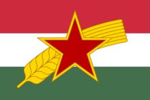 匈牙利勞動人民黨黨旗