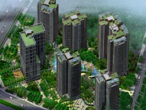 南湖印象 南湖印象