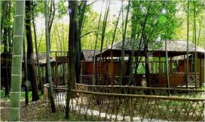 江蘇同里濕地公園 江蘇同里濕地公園