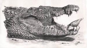 生命界十大頂級創造