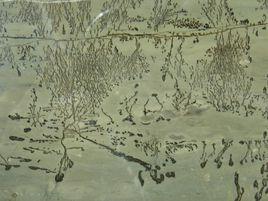 分散體系 分散體系