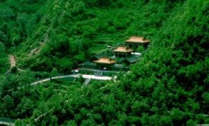 紅豆杉大峽谷 紅豆杉大峽谷