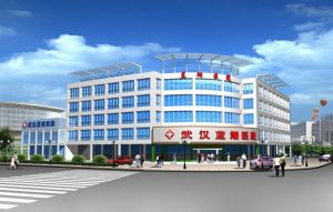 武漢市藍湖醫院 武漢市藍湖醫院