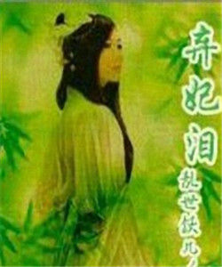 棄妃淚 棄妃淚