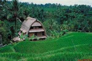 1976年8月10日 1976年8月10日