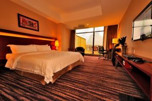 豪華花園大床房