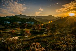 徐鳳沖村 徐鳳沖村
