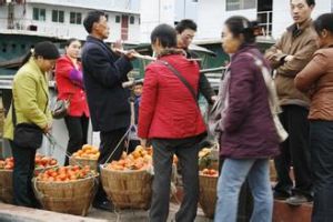 貨主間交易 貨主間交易