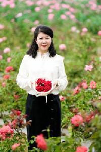 楊瑩[海南玫瑰谷產業發展有限公司董事長]