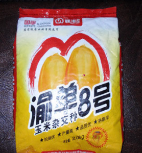 渝單8號 渝單8號