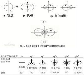 等性雜化 等性雜化
