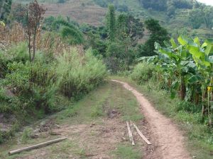 西山自然村 西山自然村