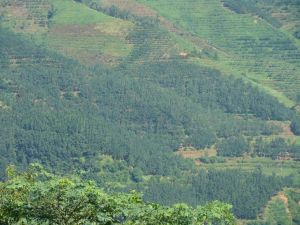 上下團山村 上下團山村