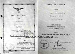 左邊是銀質空軍獲授證明檔案，從獲得級別累計次數判斷屬於空軍地面部隊，1945年01月25日授給Heinz   Buss，右邊是銀質武裝黨衛隊獲授證明檔案， 1944年09月15日授給Johannes   Wolf，A4尺寸(210mm&times;298mm)。