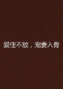 愛住不放,寵妻入骨 愛住不放,寵妻入骨