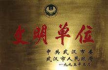 武漢市第三中學所獲榮譽