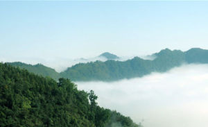 大圍山自然保護區