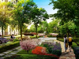 漫香林溪 漫香林溪