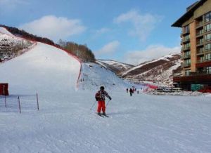 雲頂滑雪公園場地 雲頂滑雪公園場地