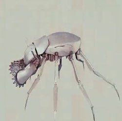 納米機器人[機器人]