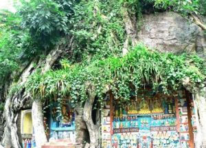 龍門報國寺 龍門報國寺