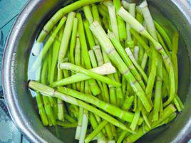 蘆筍[禾本科植物蘆葦的嫩芽]