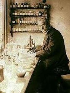 馬丁努斯·威廉·拜耶林克 馬丁努斯·威廉·拜耶林克