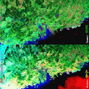 （圖）森林氣象學