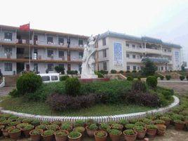 北村村[廣東佛山市九江鎮下轄村]