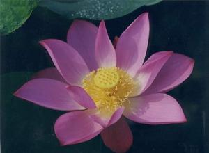 蘭盆勝會 蘭盆勝會