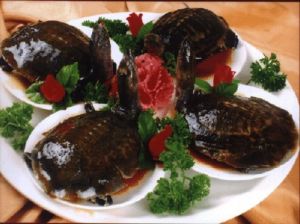 魚肚鳳爪燉水魚 魚肚鳳爪燉水魚