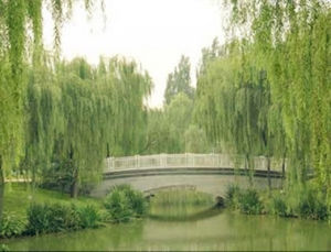 稻香湖天然公園 稻香湖天然公園