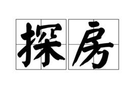 探房 探房