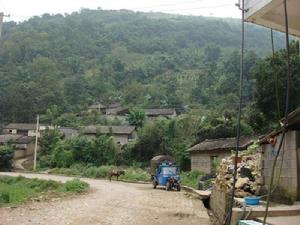 下革來村 下革來村