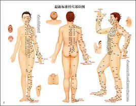 人體電壓 人體電壓