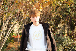 蕭憶情[音樂人蕭憶情Alex]